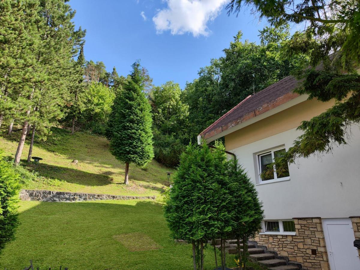 Vila Prag Bagian luar foto